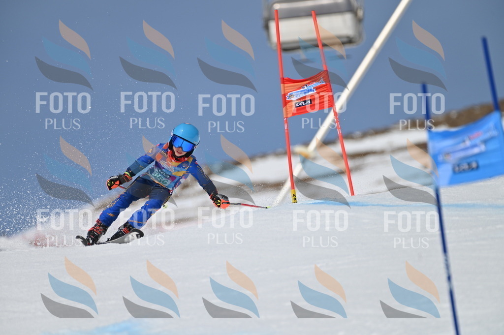 BGV_7020 | holidayphoto