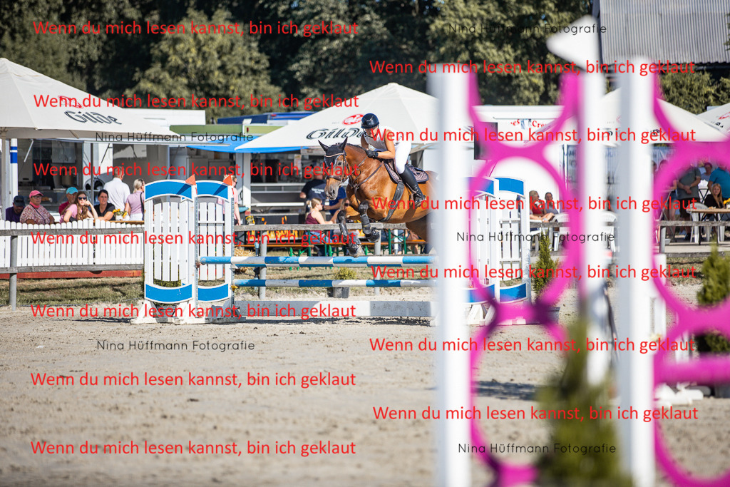 BK1A7270 | Turnierbilder Turnierfotos Nina Hüffmann Turnierfotografie Pferdefotografie Tierzeichnung Haustierzeichnung Pferdezeichnung Hundezeichnung Videograf  - Realisiert mit Pictrs.com