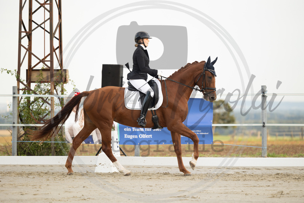 994A9928 | sabrinanicolaifotografie - Realisiert mit Pictrs.com