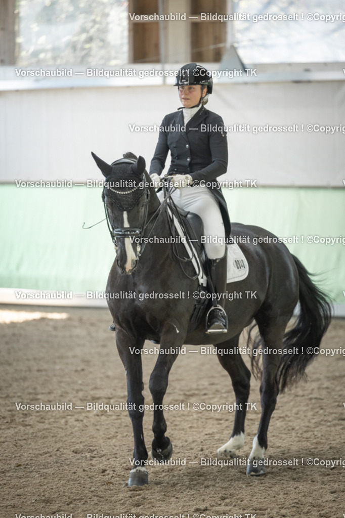 _D5A2104 | Emotionale Pferde- & People-Fotografie rund um Heidelberg, Leimen & Umgebung. Natürliche Fotos von Pferd, Mensch & Familie. Jetzt Termin sichern!