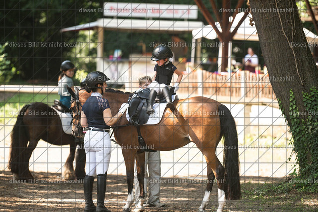 DSC_3915 | Elisabeth Schleppi - Realisiert mit Pictrs.com