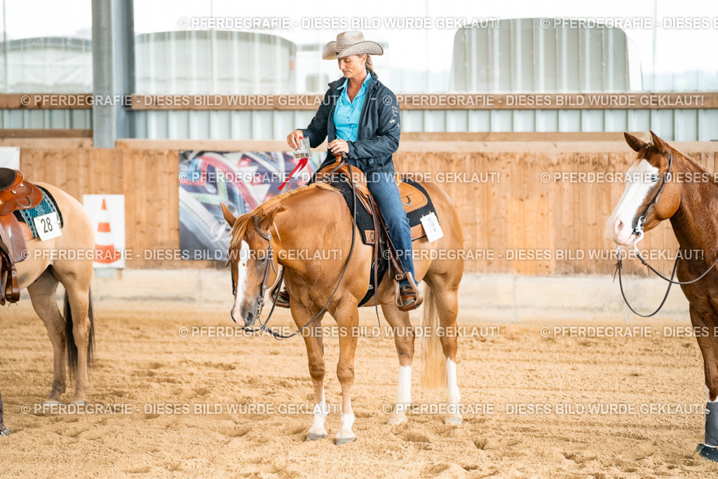 DSC02509 | Pferdegrafie