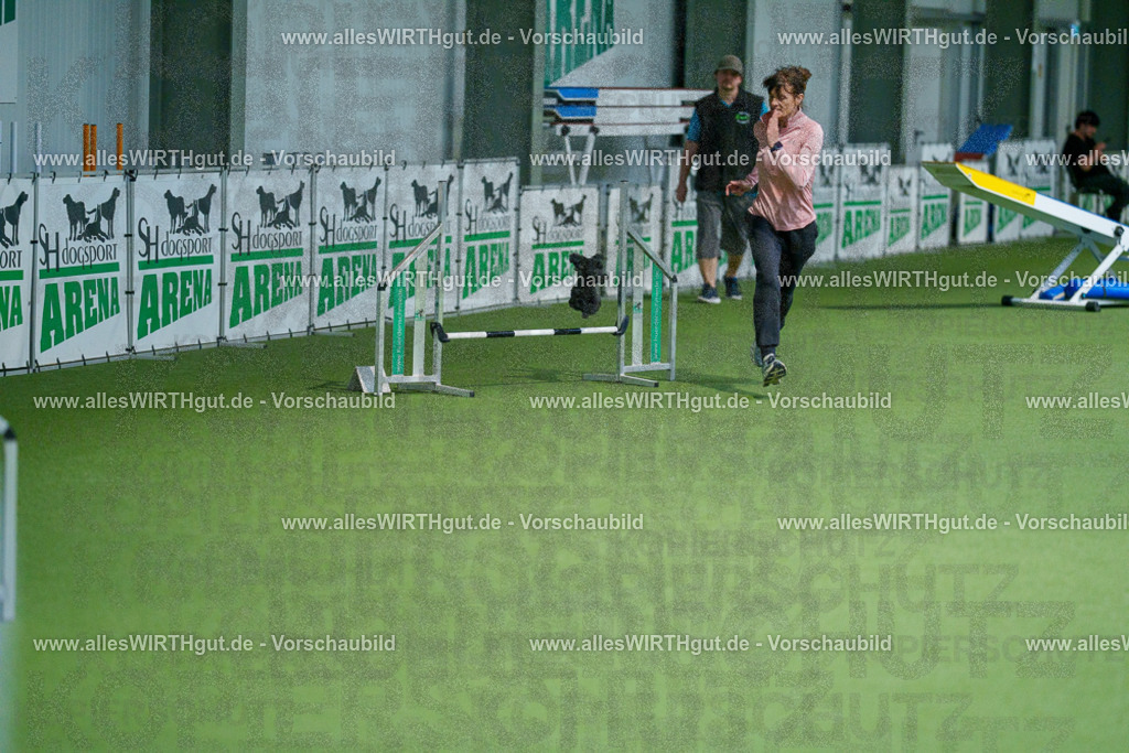 @allesWIRTHgut_Tierfotografie - www.allesWIRTHgut.de - 2604250859-7R508255 | Professionelle Tierfotografie in Mönchengladbach von Daniel Wirth (allesWIRTHgut). Liebevolle & natürliche Bilder von Hunden & Katzen für unvergessliche Erinnerungen.