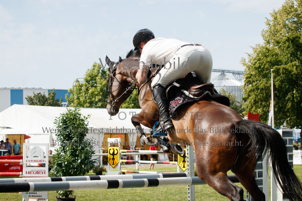 IMG_3735 | P. Berger Fotografie - Realisiert mit Pictrs.com