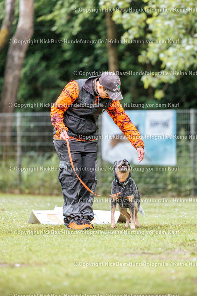 RO-Blumenthal-2026-Nickbest-Hundefotografie-1102 | Dein Hund! Dein Moment! Deine Erinnerungen! Hundefotografie in Bremen Blumenthal. Ich fange die besonderen Momente deines Vierbeiners ein – ob Indoor mit Blitzanlage oder in der freien Natur. Sicher dir dein Moment und dein Termin für eure Erinnerungen.