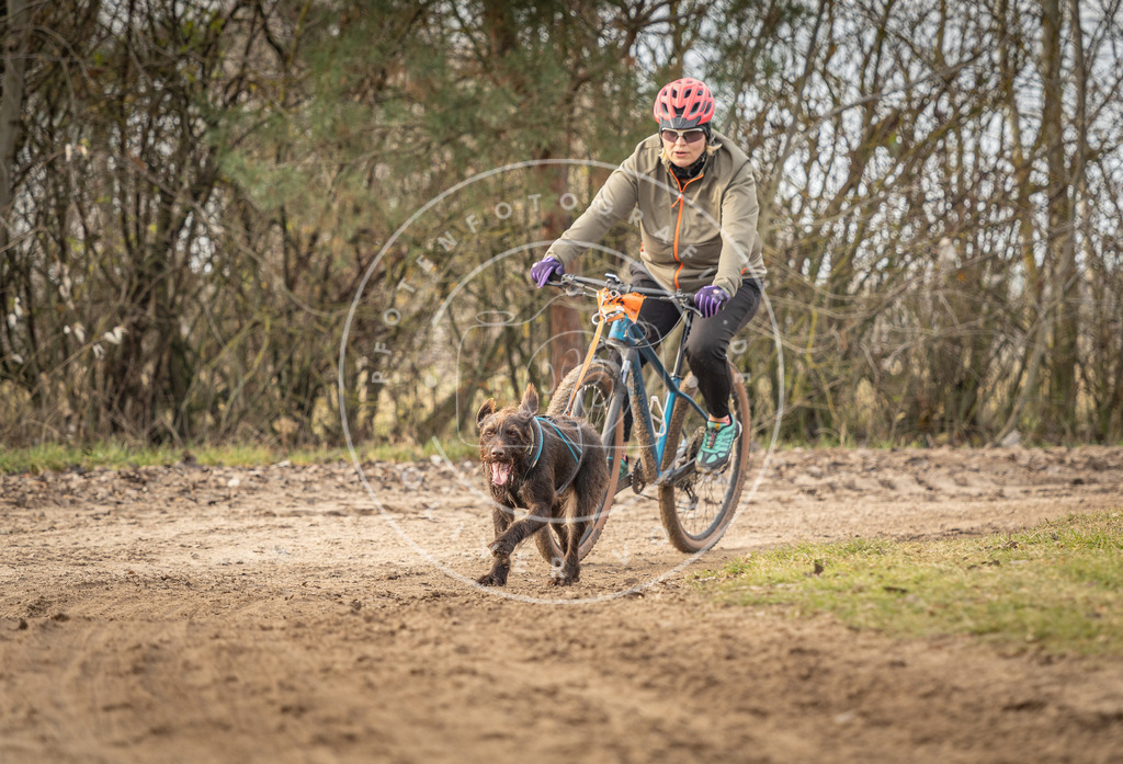 Pfotenfotografie_DV3A8965 | Hundefotografie, Tierfotograf, Pfotenfotografie, Fotoshooting Hund, Hunde Portrait, Hundesport, Hundeportraits, Heideshooting, Hunde, Sportfotograf, Hundefotograf, Turnierhundsport, THS,  - Realisiert mit Pictrs.com
