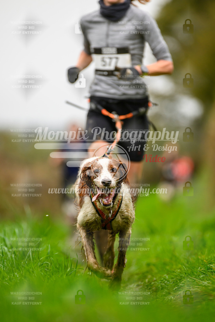MompixPhotography_20TSB_E8_Run-40 | PayLife