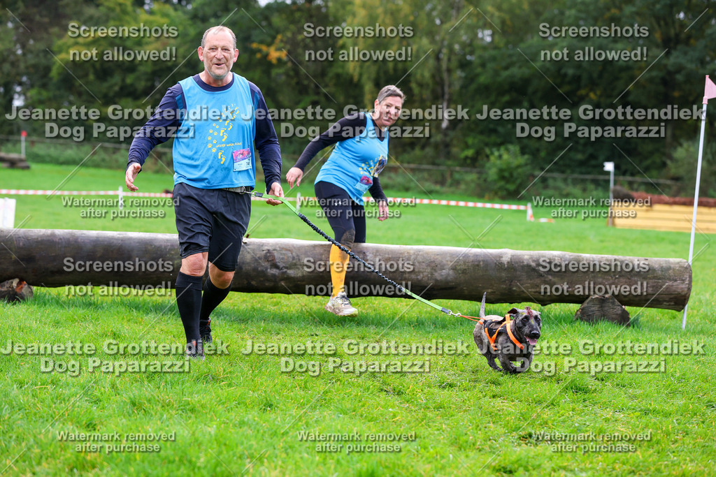 Dog Paparazzi -  SD1026-1119 | Dog Paparazzi Jeanette Grottendiek Fotografie & Videografie - Realisiert mit Pictrs.com