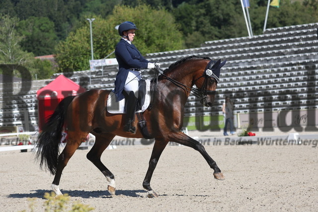 Marbach_2024_Prfg.Nr.04_Dressurprfg_Kl.S_Inter I_Beate Siegle_Ben 420 (2) | Alle Fotos der Reiterjournal Fotografin Doris Matthaes im Reiterjournal Online-Fotoshop. - Realisiert mit Pictrs.com