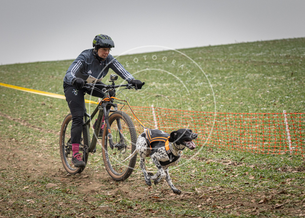 Pfotenfotografie_DV3A2457 | Hundefotografie, Tierfotograf, Pfotenfotografie, Fotoshooting Hund, Hunde Portrait, Hundesport, Hundeportraits, Heideshooting, Hunde, Sportfotograf, Hundefotograf, Turnierhundsport, THS,  - Realisiert mit Pictrs.com