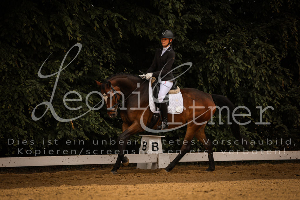 DoDrE00078 | Leoni Ertmer Photography - Realisiert mit Pictrs.com