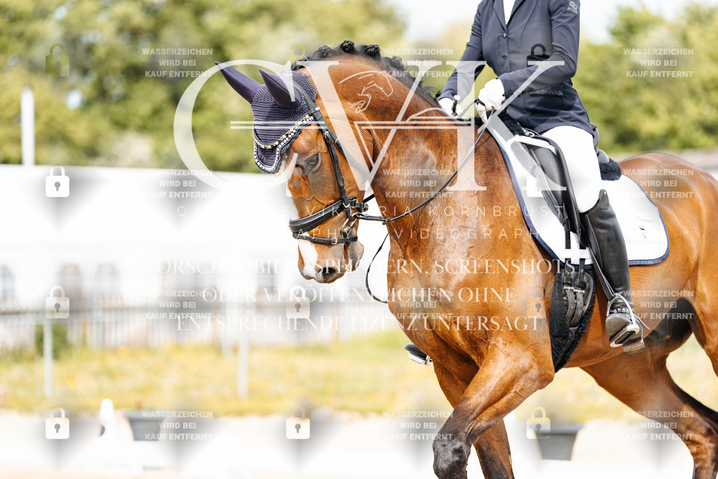 CK900691 | Turnierfotografie Pferdefotografie Trier Rheinland-Pfalz Pferdesport Reitsport Tierfotografie Sportfotografie Pferdevideo Pferdevideografie Equestrianvideography equestrianphotography  - Realisiert mit Pictrs.com