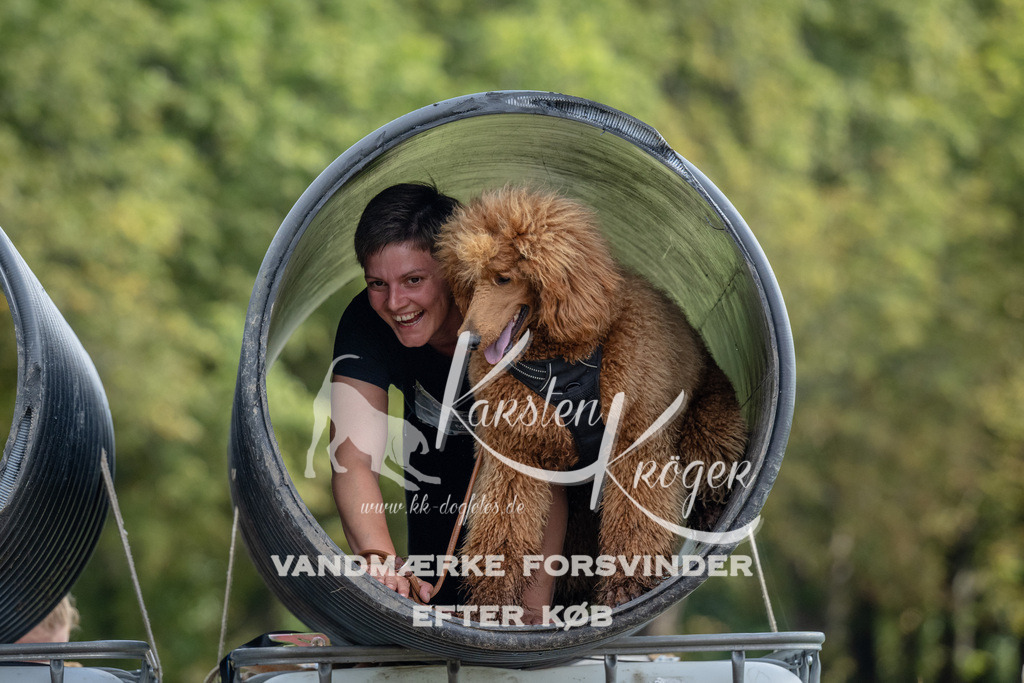1020_ZZ91815 | kk-dogfotos