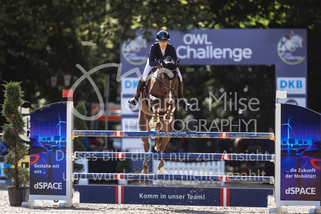 240912_OWLCh_AmateurL-409 | Deine schönsten Turniermomente als professionelle Fotos! Entdecke hochwertige Pferdesport-Fotografie im Online-Shop. Jetzt Fotos finden & bestellen!