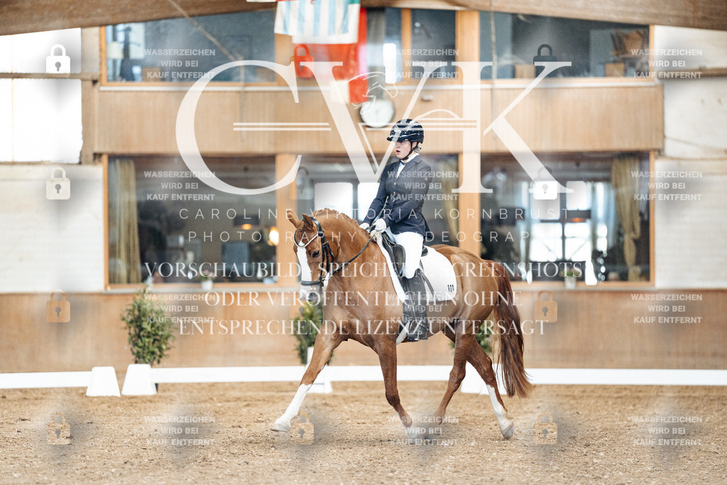 CK900744 | Turnierfotografie Pferdefotografie Trier Rheinland-Pfalz Pferdesport Reitsport Tierfotografie Sportfotografie Pferdevideo Pferdevideografie Equestrianvideography equestrianphotography  - Realisiert mit Pictrs.com