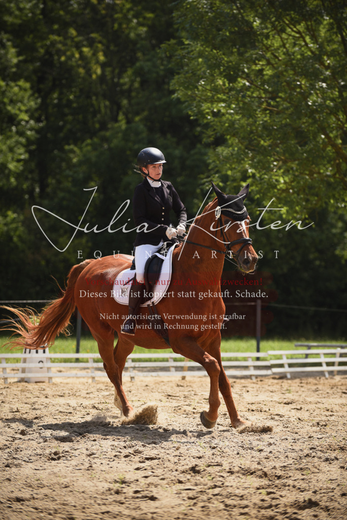 DSC_1093 | Pferde- und Turnierfotografie in Westsachsen. Pferdeportraits, Auftragszeichnungen und intuitive Kunst.