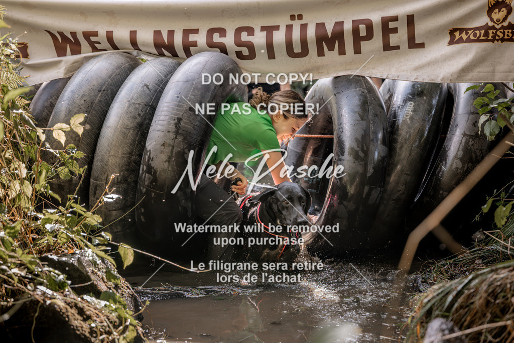 nelerasche_Hunsrück2026_Sa1400-1500_371 | nelerasche