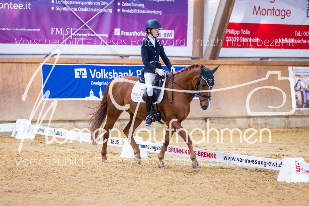 Sth-A-Dre-1St-277 | MomenTaufnahmen Pferdesportfotos