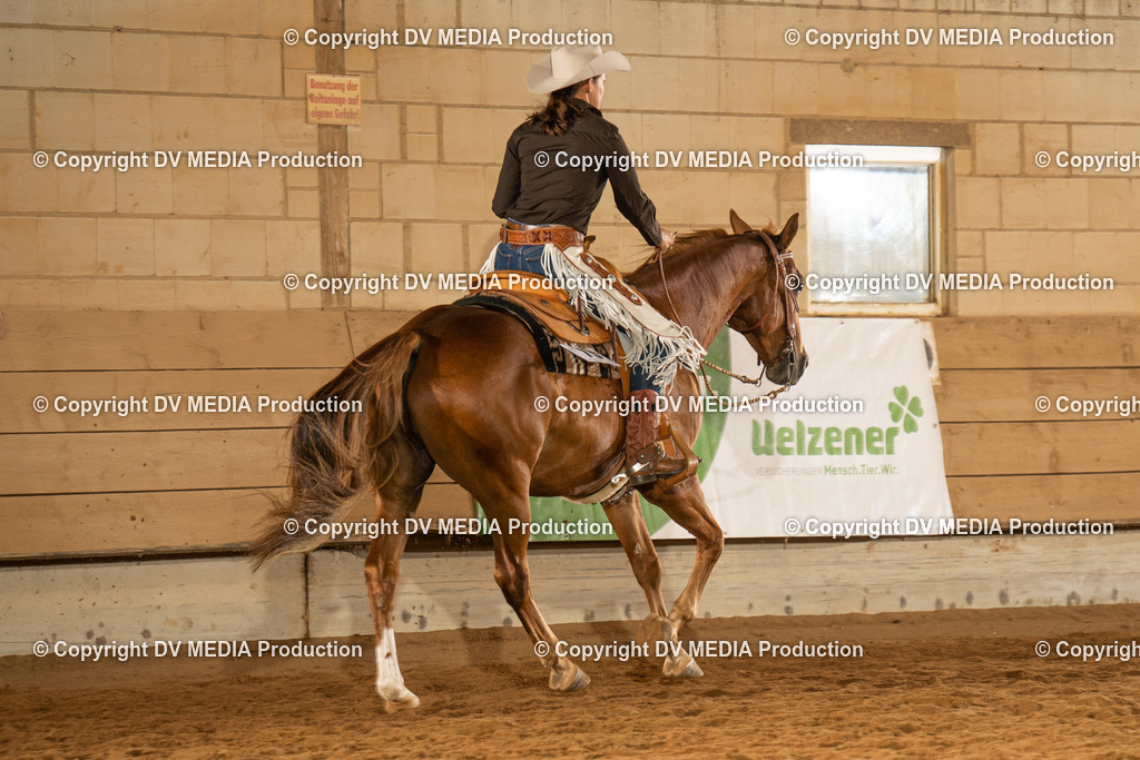 NID01620 | dv-media-shop - Realisiert mit Pictrs.com