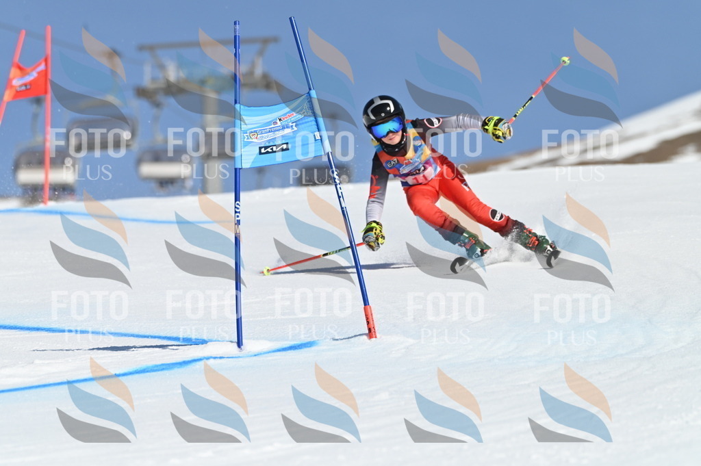 BGV_7774 | holidayphoto