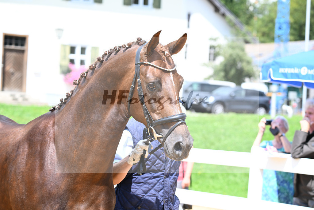 Valenziano_27140746 | hf-fotografie - Realisiert mit Pictrs.com