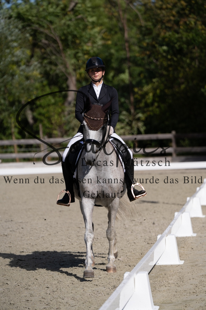 A7V07051 | Turnier/Reitfotograf
