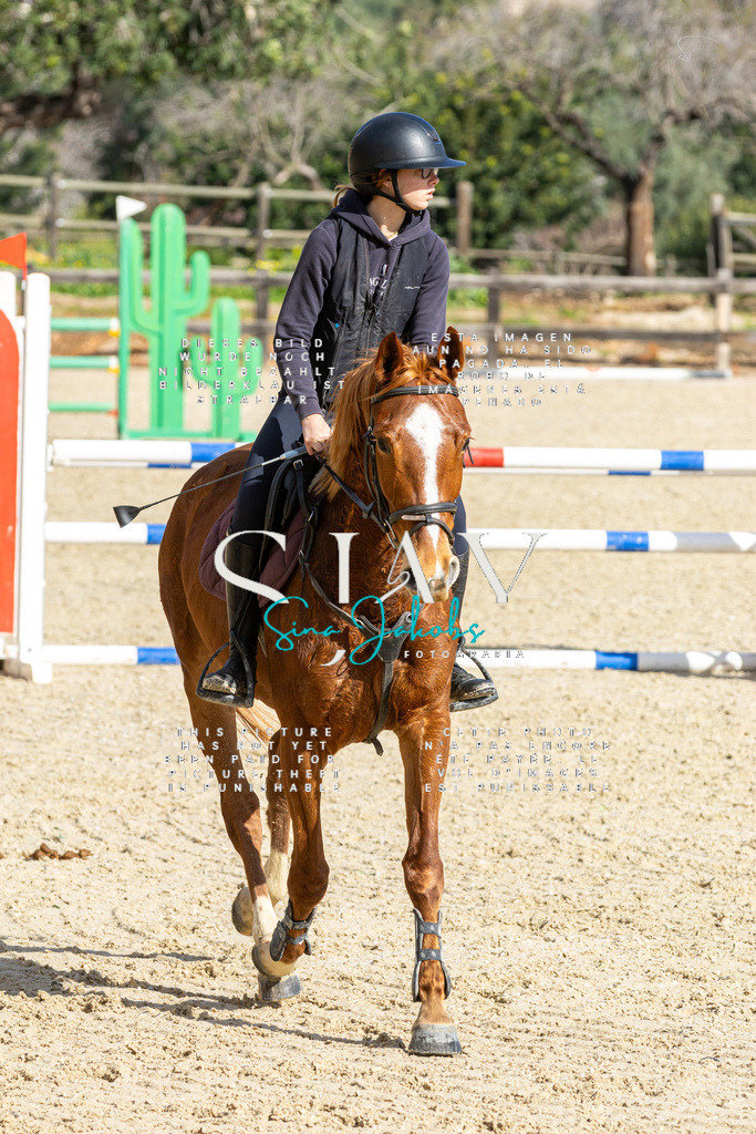 IMG_4028 | s-jay-photography - Realisiert mit Pictrs.com