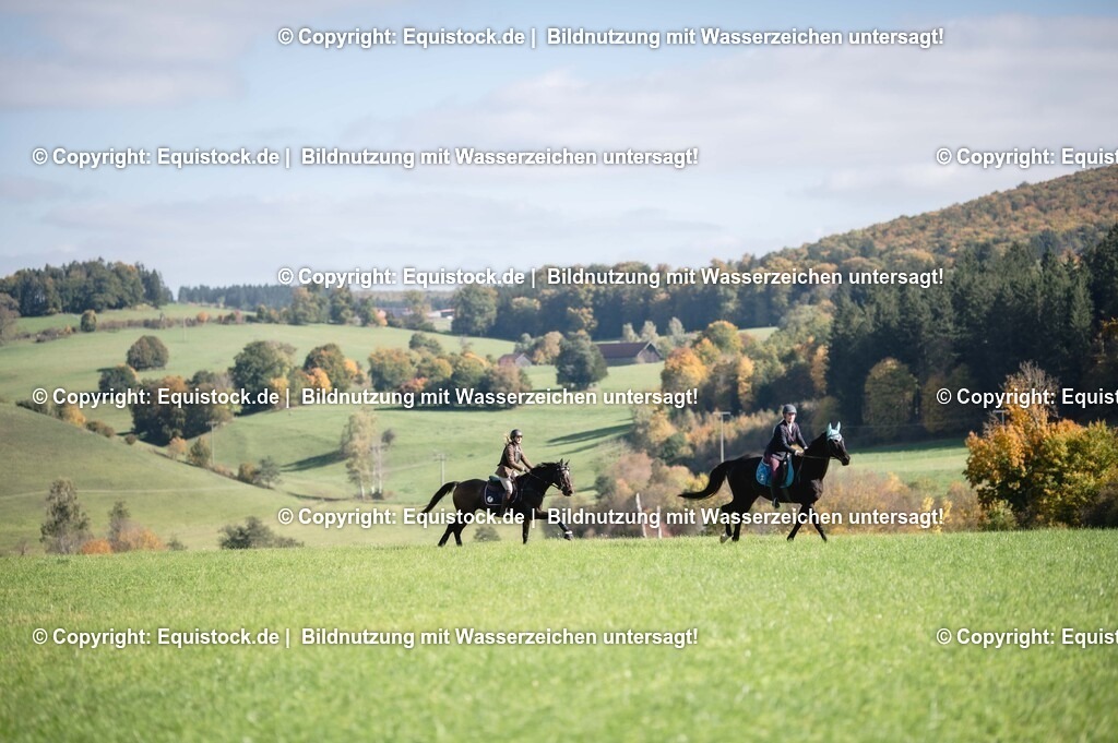 20251011_Jagd-Marbach_0418 | Foto: Thomas Hartig