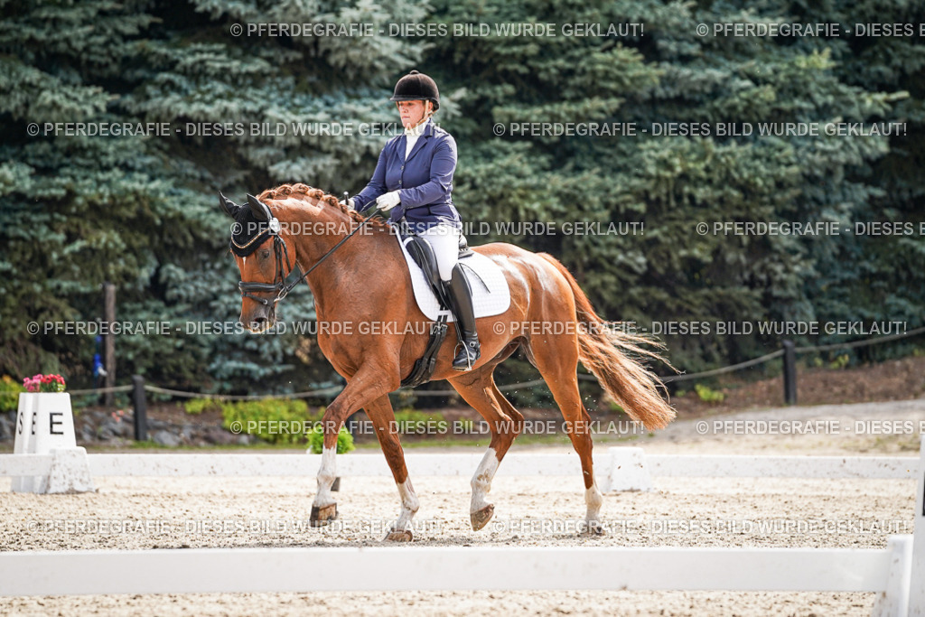 DSC07289 | Pferdegrafie