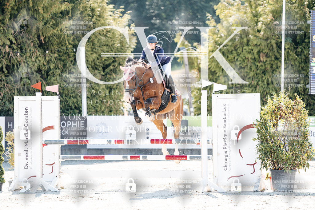 CK908442 | Turnierfotografie Pferdefotografie Trier Rheinland-Pfalz Pferdesport Reitsport Tierfotografie Sportfotografie Pferdevideo Pferdevideografie Equestrianvideography equestrianphotography  - Realisiert mit Pictrs.com