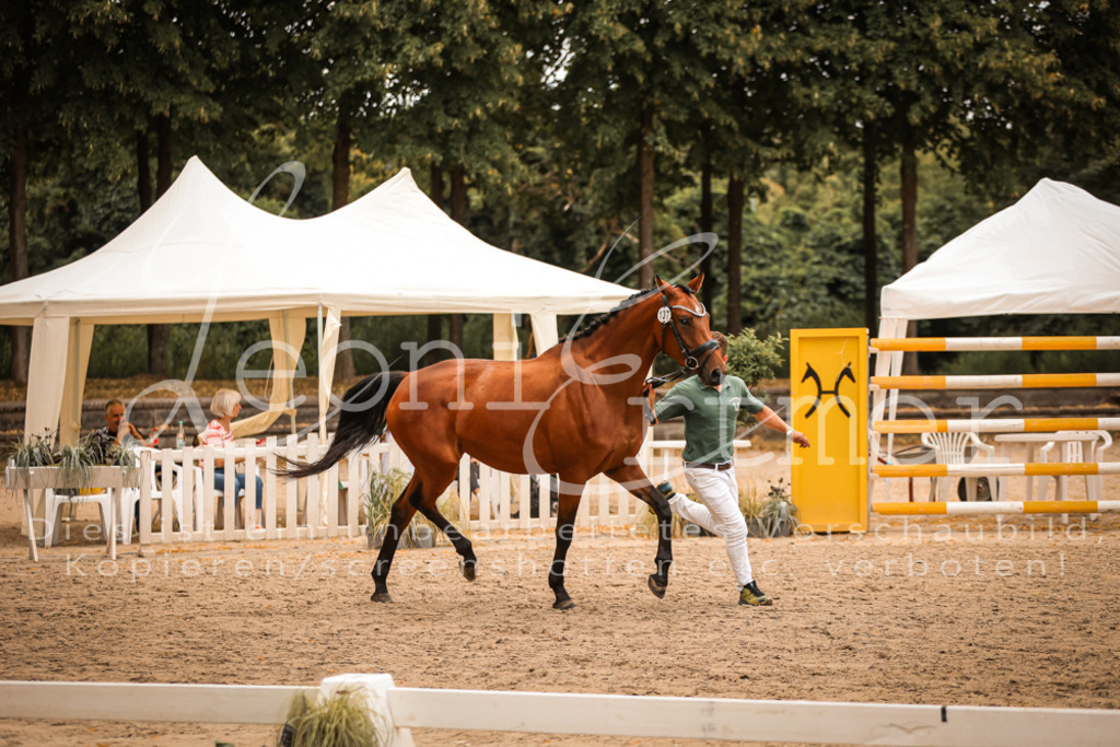 05.So00012 | Leoni Ertmer Photography - Realisiert mit Pictrs.com