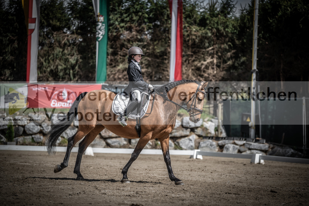 DSC_0852 | equestrian-live-com