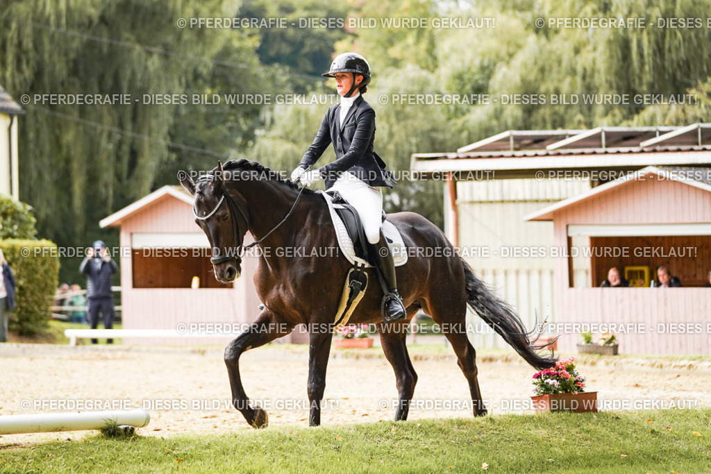 DSC00827 | Pferdegrafie