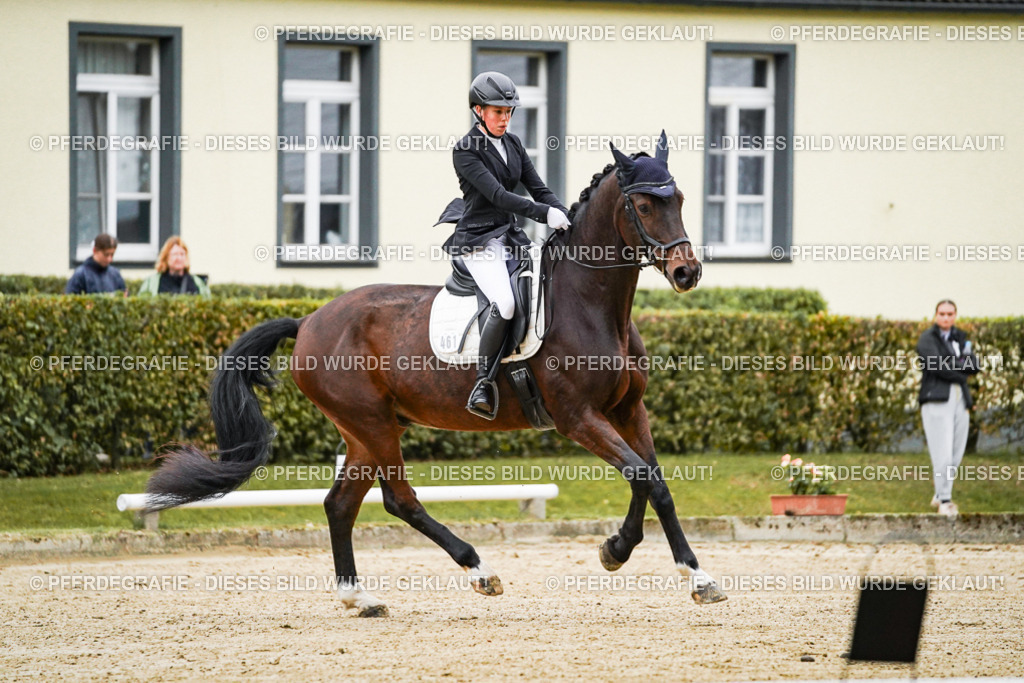 DSC06383 | Pferdegrafie