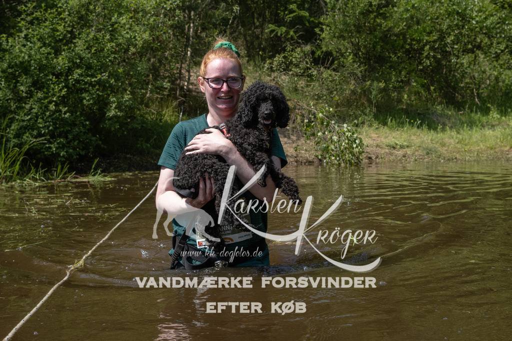 1410DKK990025 | kk-dogfotos