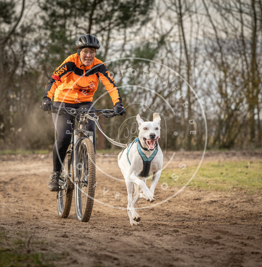 Pfotenfotografie_DV3A7965 | Hundefotografie, Tierfotograf, Pfotenfotografie, Fotoshooting Hund, Hunde Portrait, Hundesport, Hundeportraits, Heideshooting, Hunde, Sportfotograf, Hundefotograf, Turnierhundsport, THS,  - Realisiert mit Pictrs.com