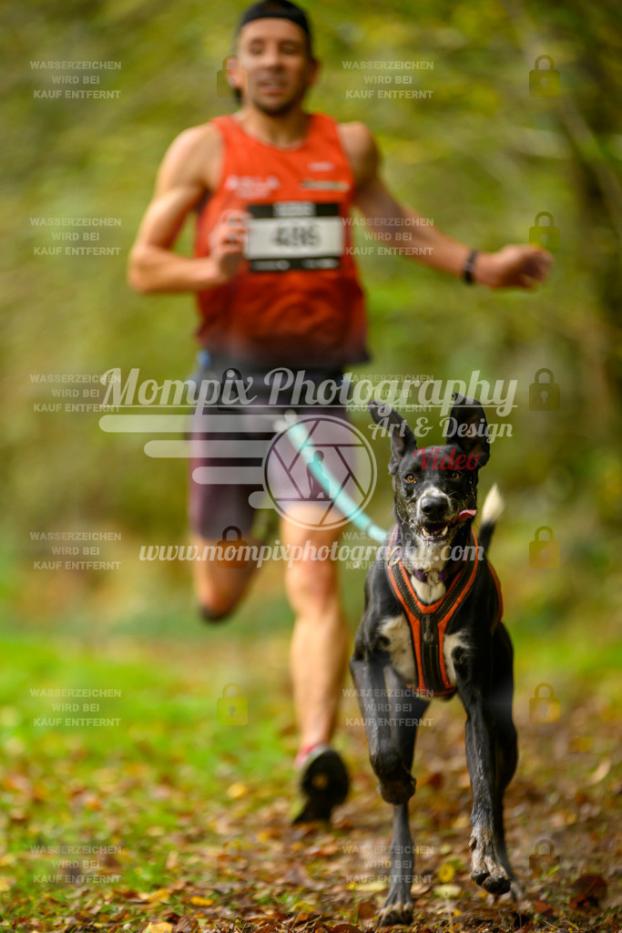 MompixPhotography_20TSB_E1_Run-7 | PayLife