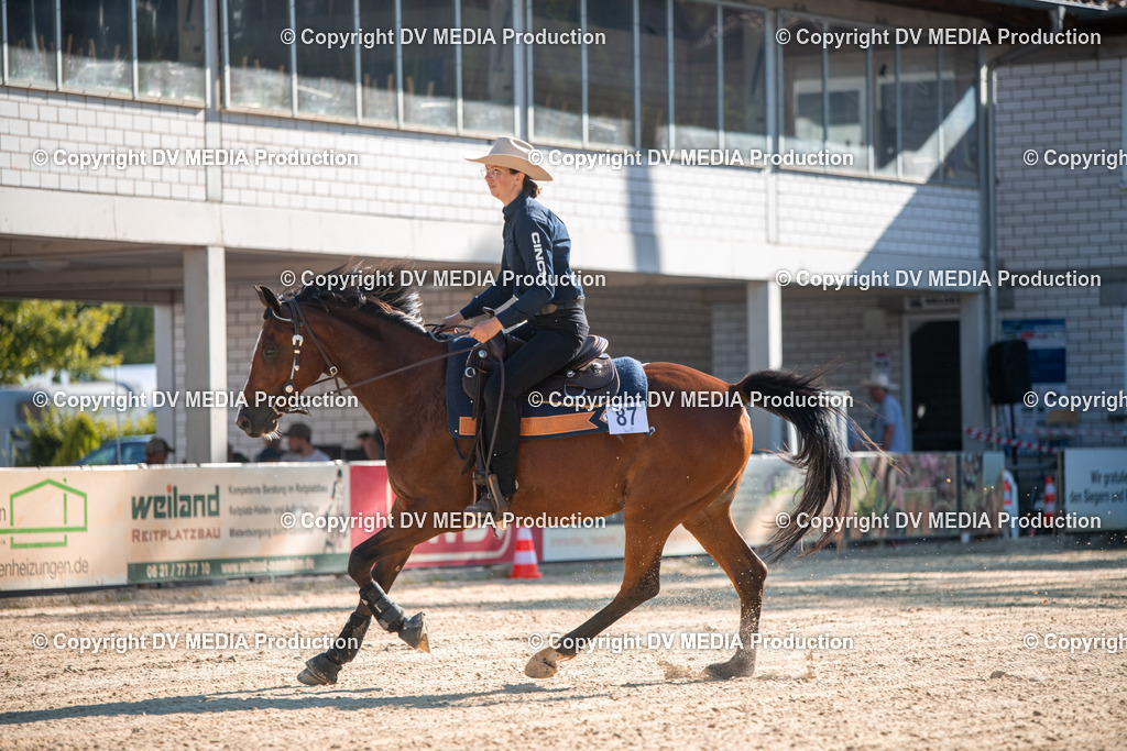 EWP_7020 | dv-media-shop - Realisiert mit Pictrs.com