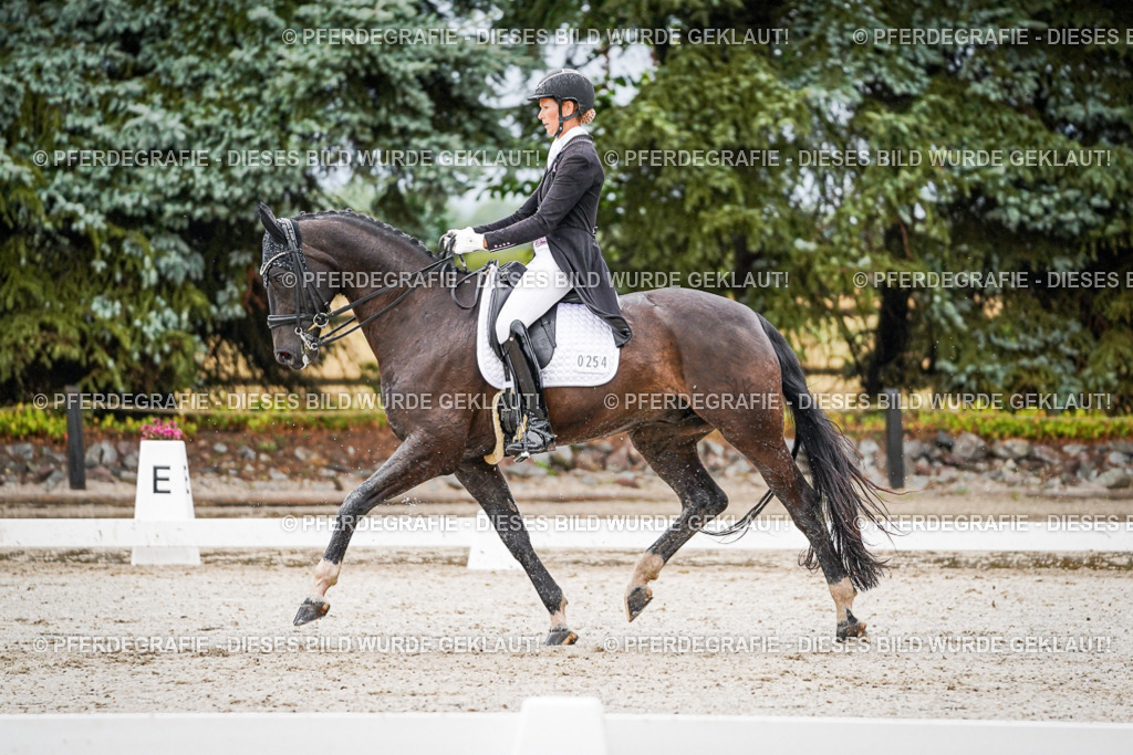 DSC08805 | Pferdegrafie