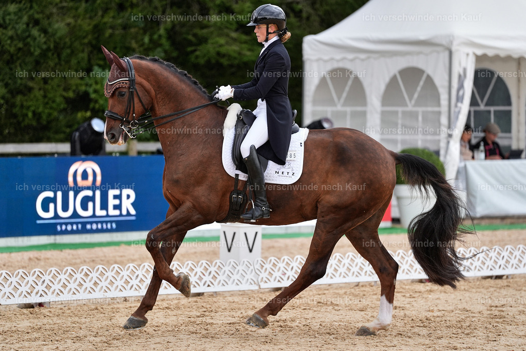 8_1-085-Klasse S_  -StoibPH-3828 | working equitationturnier fotograf videograf stoibphotography marixx film working equitation deutschland reitsport turnierfotografie eventfotografie equestrian events