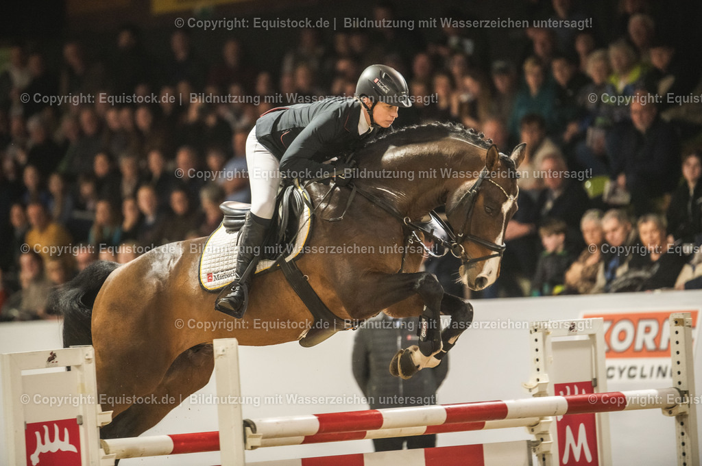 20240302_Hengstvorstellung_Marbach_TOMsPiC_1377-2 | equistock