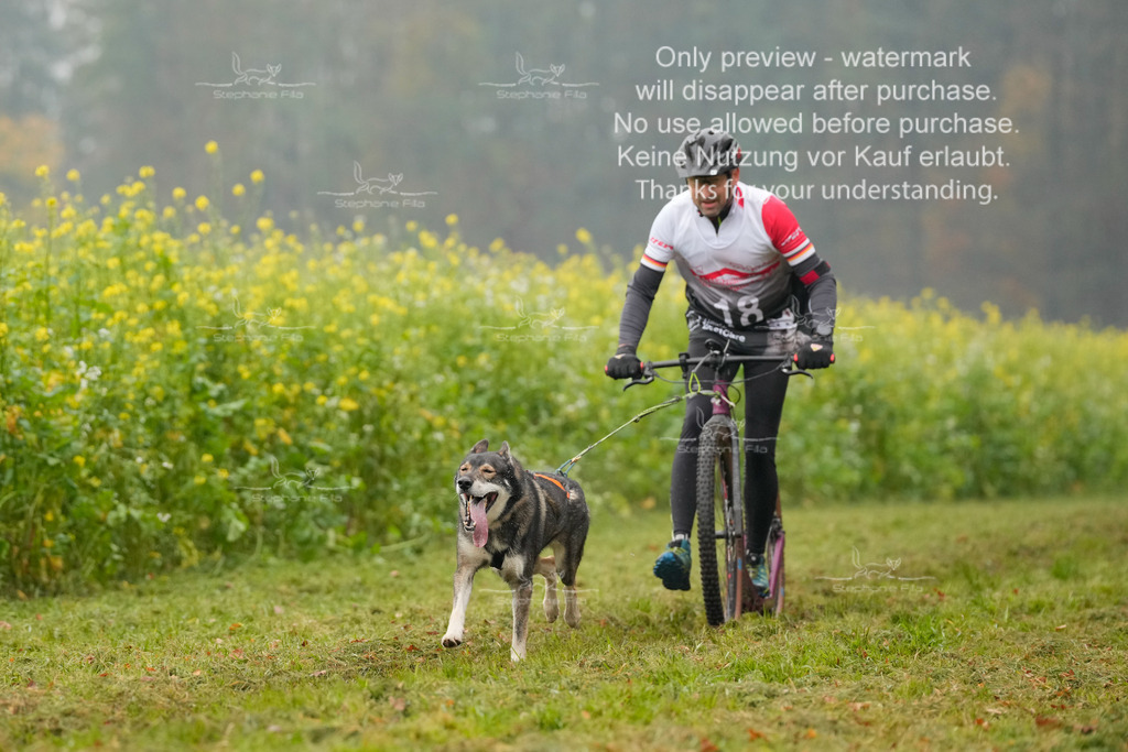 Visbeck_Sa_Scooter_Hc-17 | stephaniefillaphotographie - Realisiert mit Pictrs.com