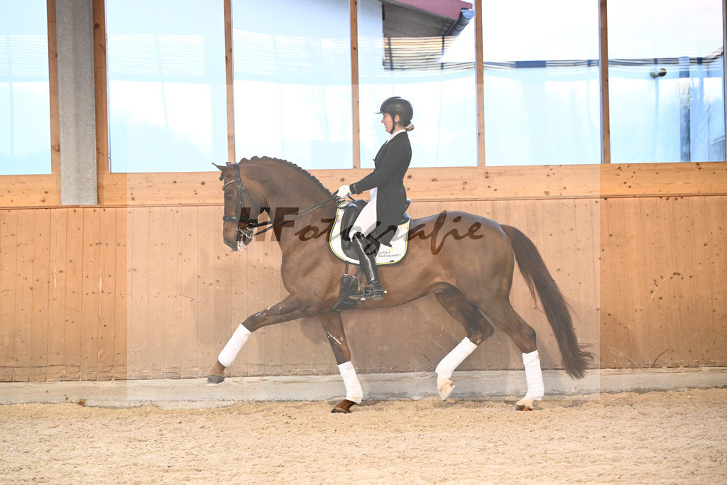 Va Bene_7241000 | hf-fotografie - Realisiert mit Pictrs.com