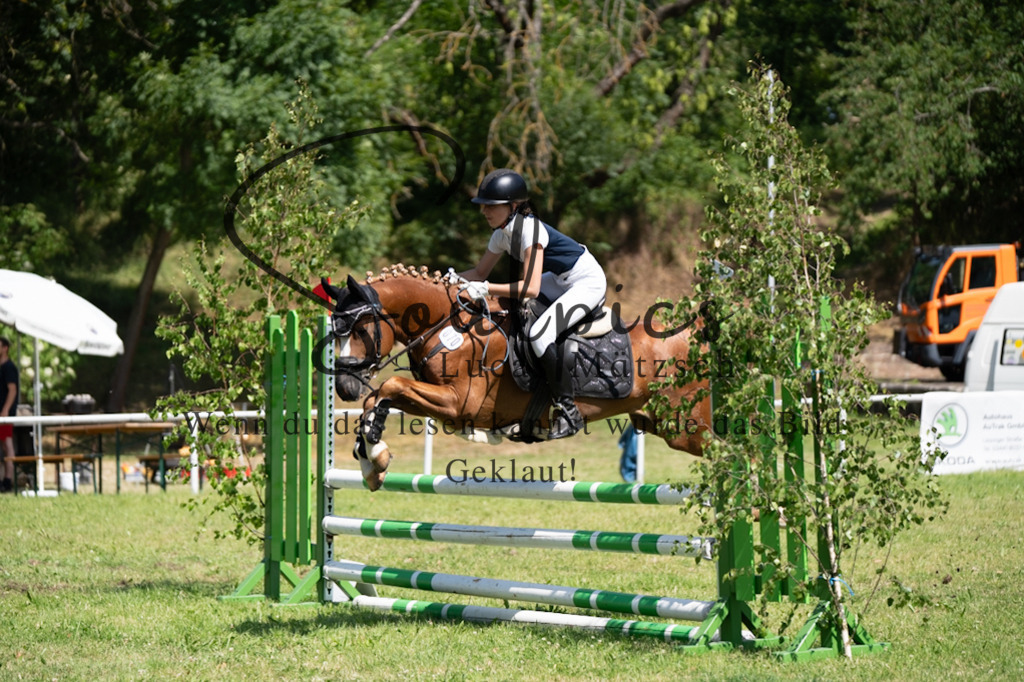 A7V05705 | Pferdefotograf