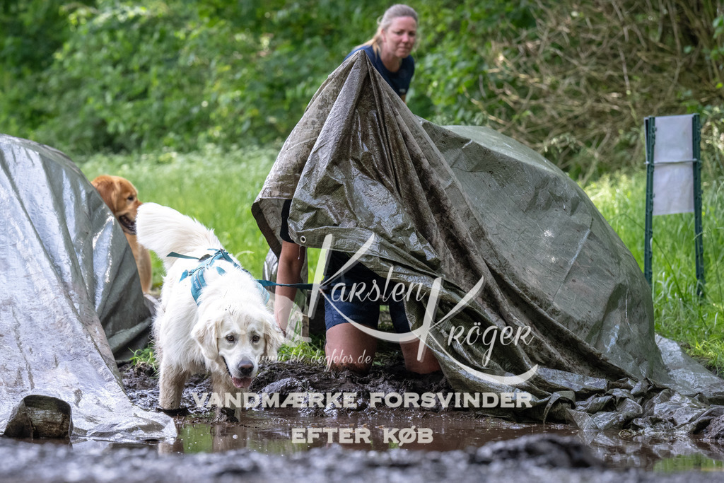 1241_ZZ93095 | kk-dogfotos