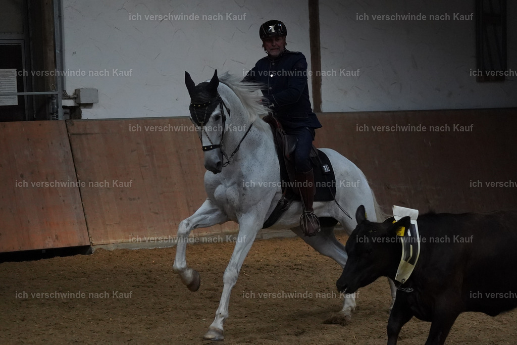 KlasseS_Lucie (70) | working equitationturnier fotograf videograf stoibphotography marixx film working equitation deutschland reitsport turnierfotografie eventfotografie equestrian events