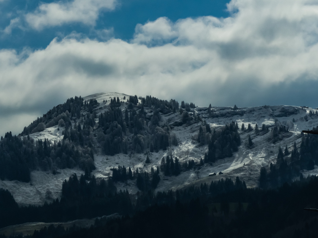 PSX_20230404_225653 | mtkfoto_ - Realisiert mit Pictrs.com