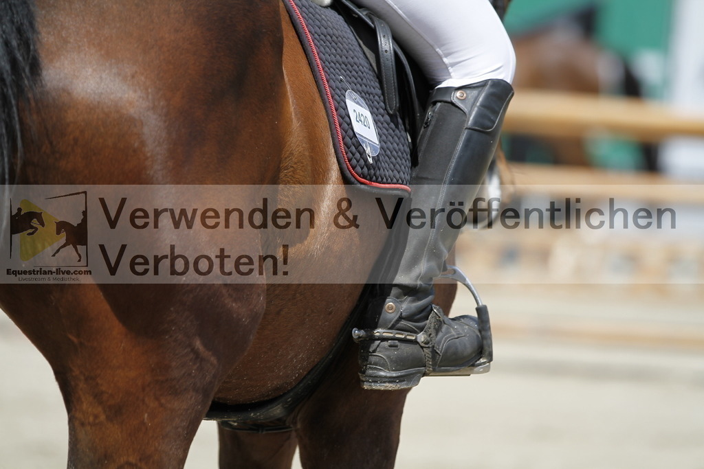 _MG_7677 | equestrian-live-com