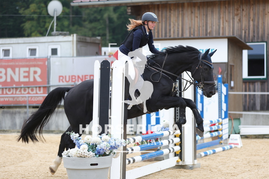 0P6A3040 | Willkommen bei Brunnmayr - Design & Fotografie – Ihrem Spezialisten für Reitturniere und Pferdeveranstaltungen in Oberösterreich, Salzburg und Bayern! Seit über 17 Jahren sind wir leidenschaftlich dabei.