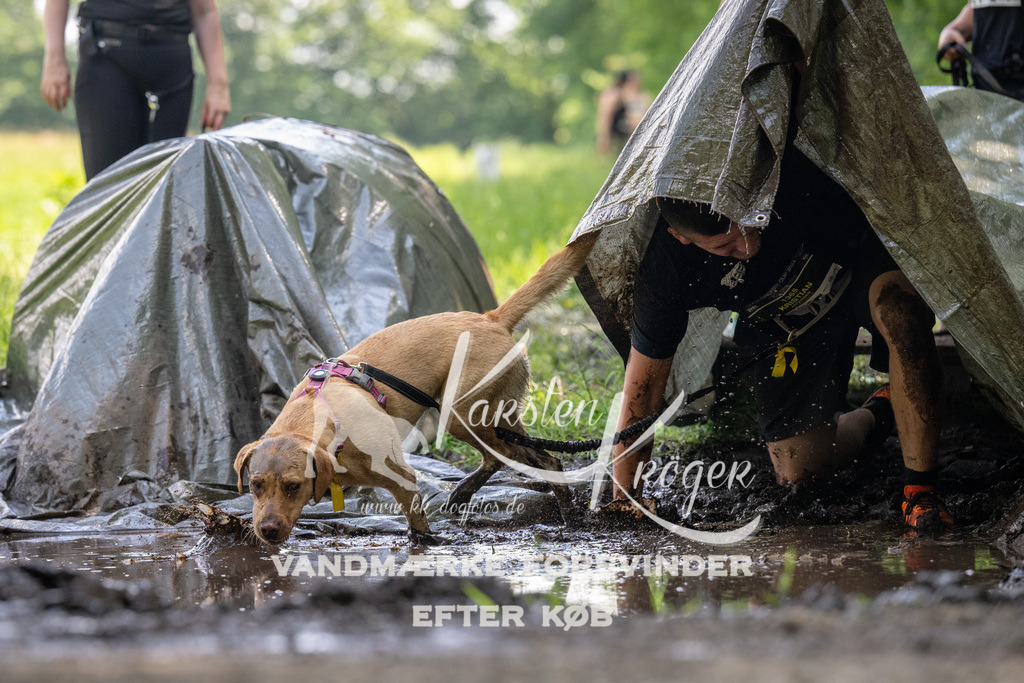 1155_ZZ90204 | kk-dogfotos